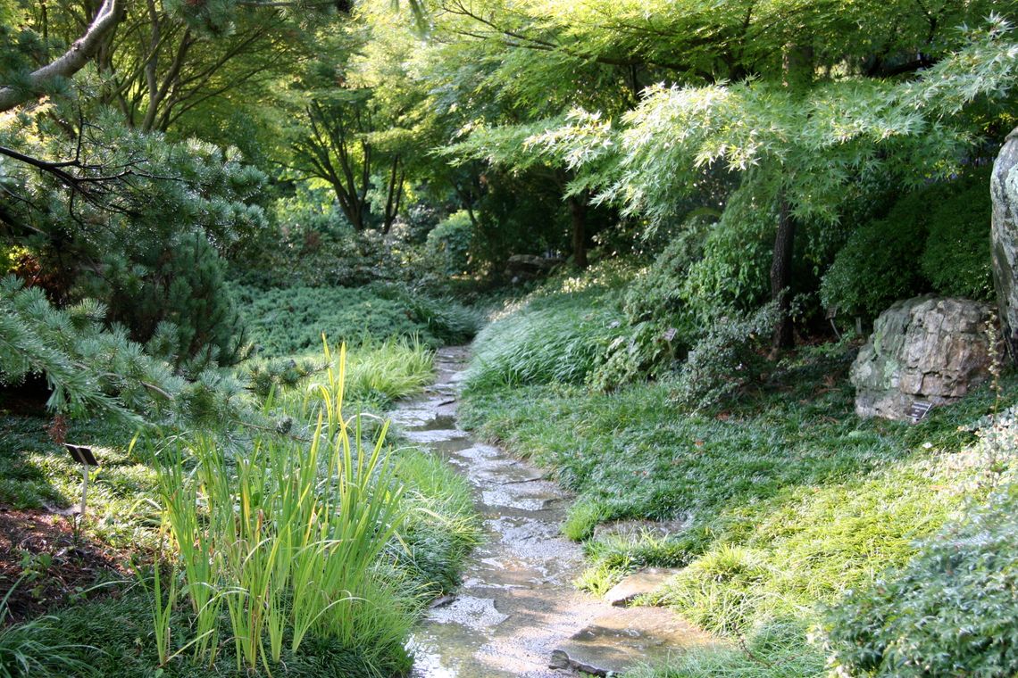 Winding pathway